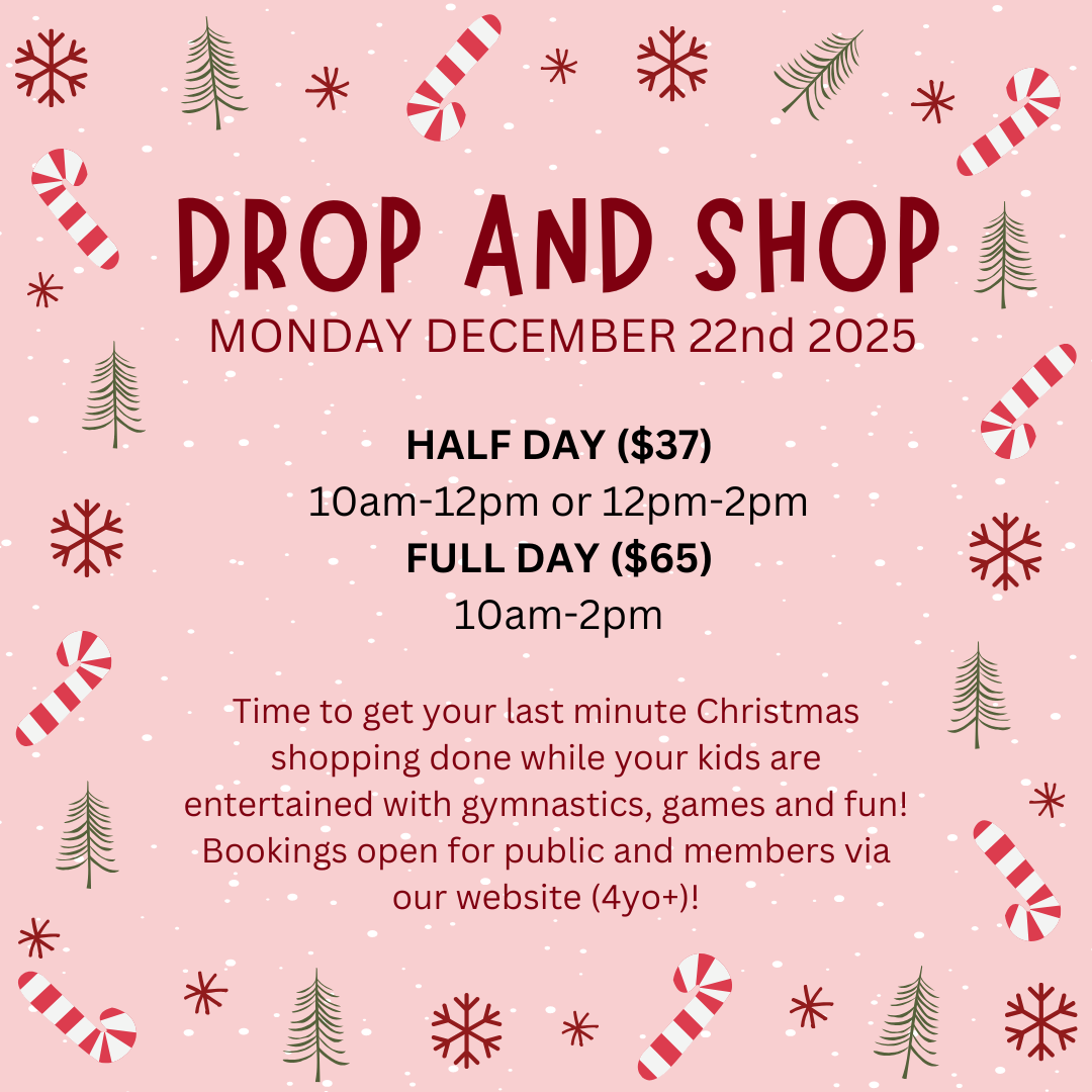 Christmas Drop and Shop (4)